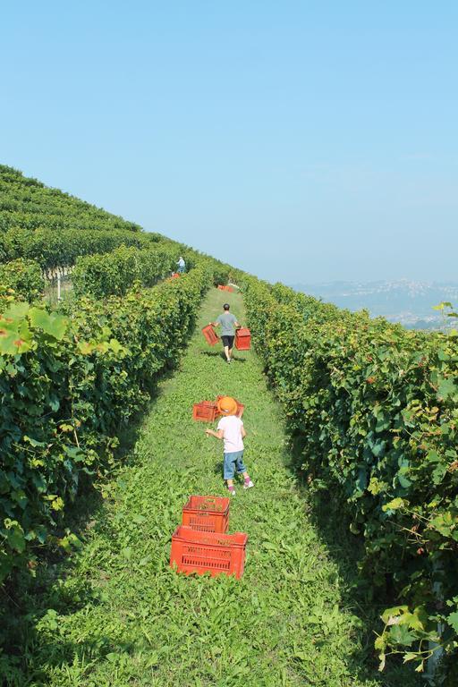 Agriturismo Il Bricco Treiso Esterno foto