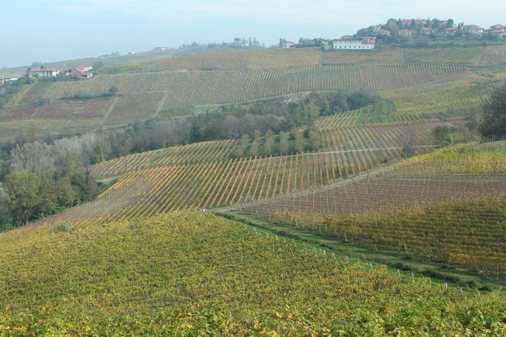 Agriturismo Il Bricco Treiso Esterno foto
