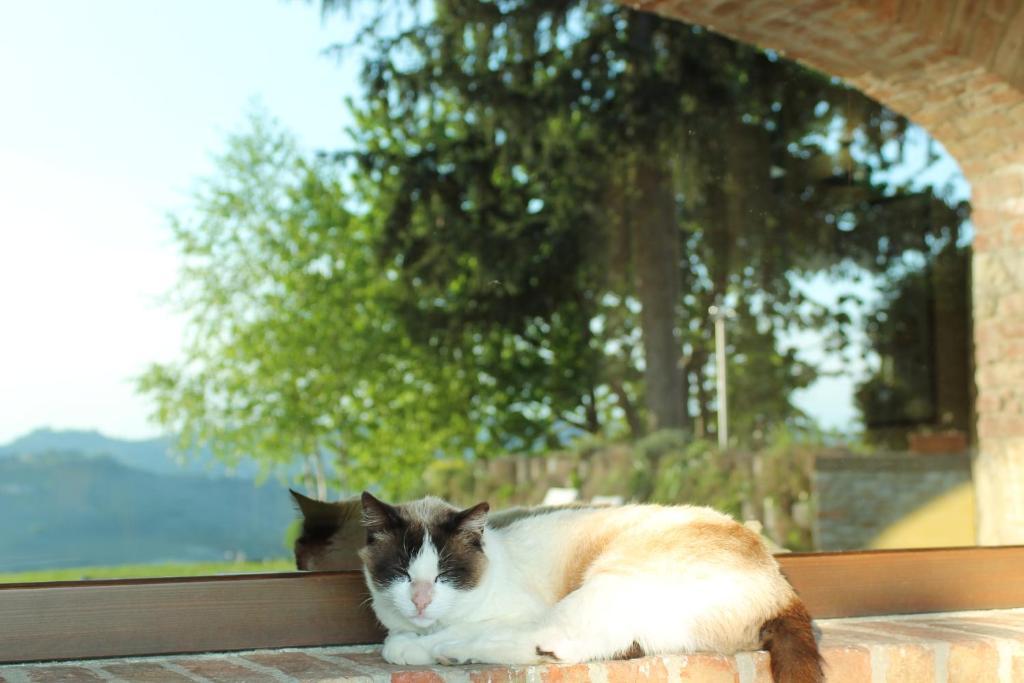 Agriturismo Il Bricco Treiso Esterno foto