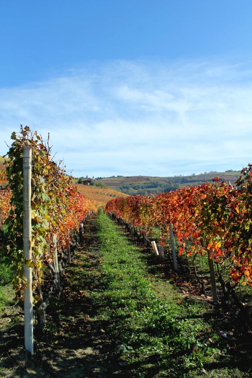Agriturismo Il Bricco Treiso Esterno foto